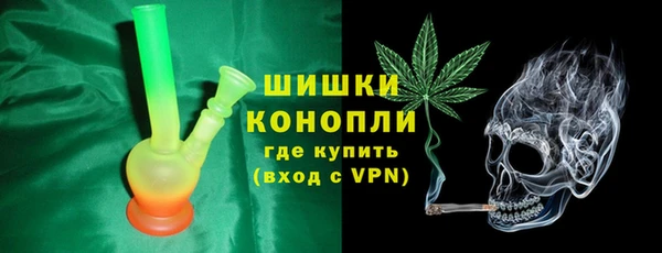 гидра Лагань