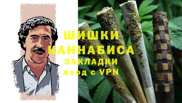 гидра Лагань