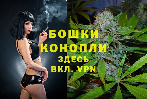 гидра Лагань