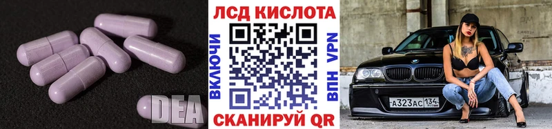 blacksprut как зайти  Сунжа  LSD-25 экстази ecstasy 