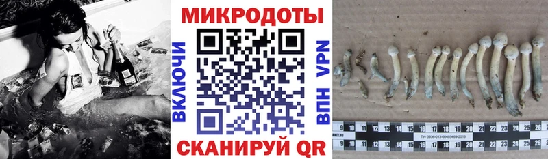 Псилоцибиновые грибы ЛСД  Сунжа 