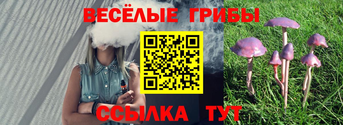 Псилоцибиновые грибы Psilocybe  где купить   Сунжа  Вход с VPN 
