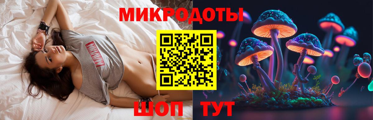 Псилоцибиновые грибы GOLDEN TEACHER Сунжа