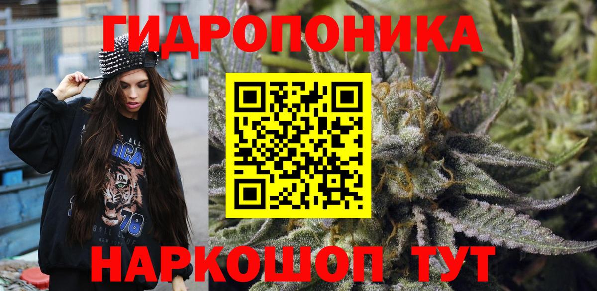 Конопля тримм  Вход с VPN  Сунжа  Конопля конопля  Марихуана конопля 